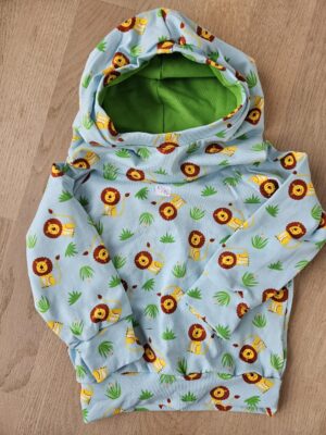 Pullover mit Kapuze