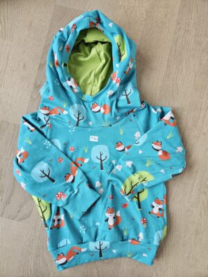 Pullover mit Kapuze