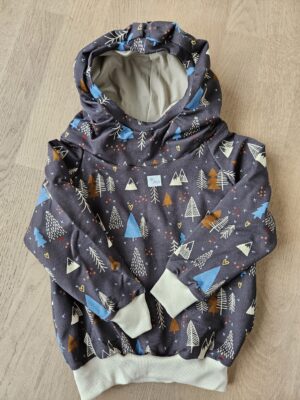 Pullover mit Kapuze