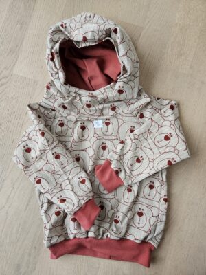 Pullover mit Kapuze