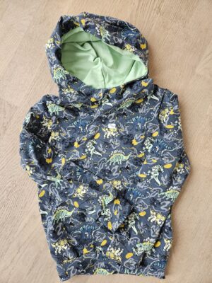 Pullover mit Kapuze