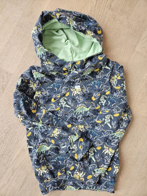 Pullover mit Kapuze